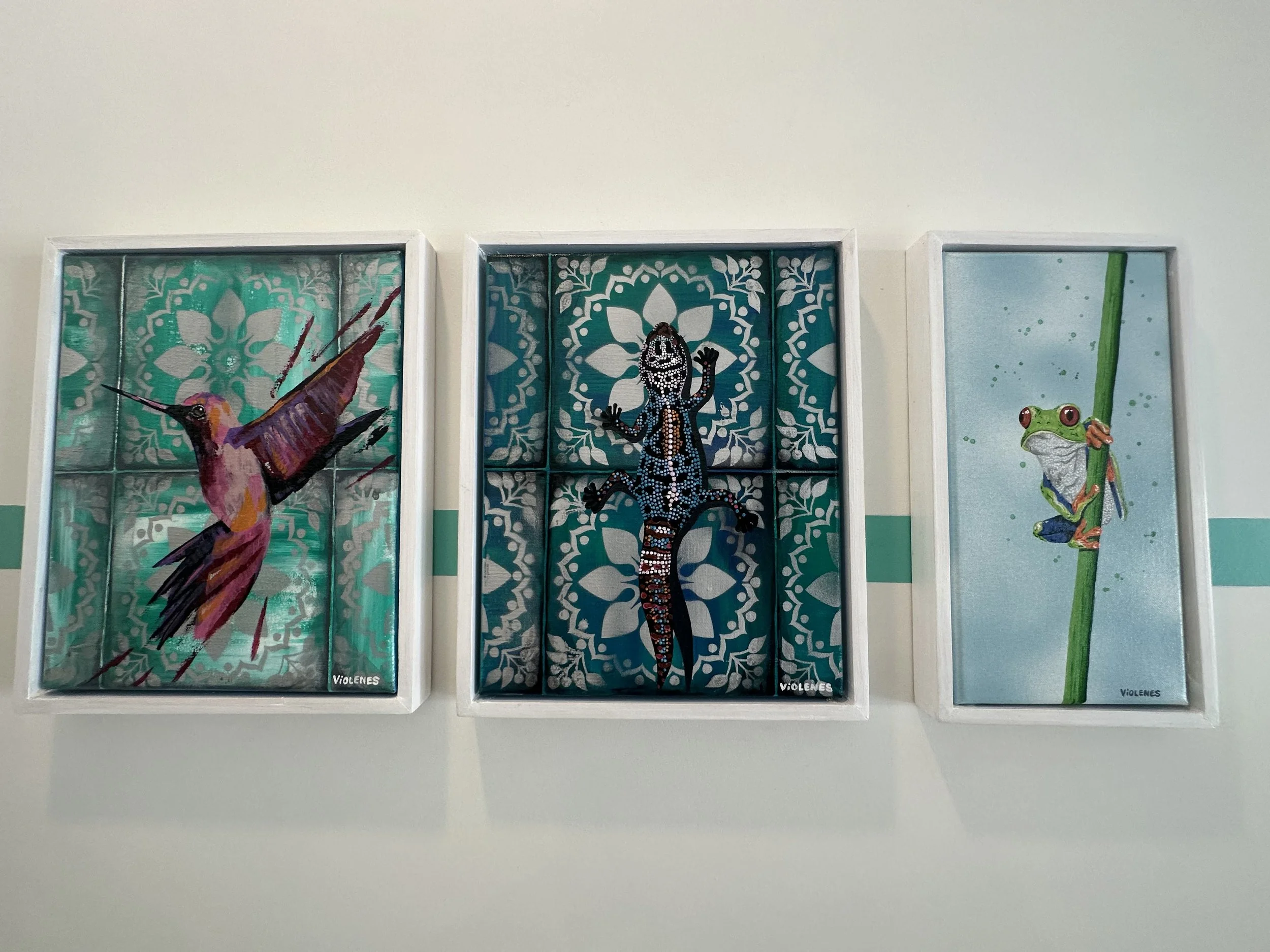 Three framed artworks of animals, including a hummingbird, a gecko, and a frog, are displayed on a wall with a teal stripe.