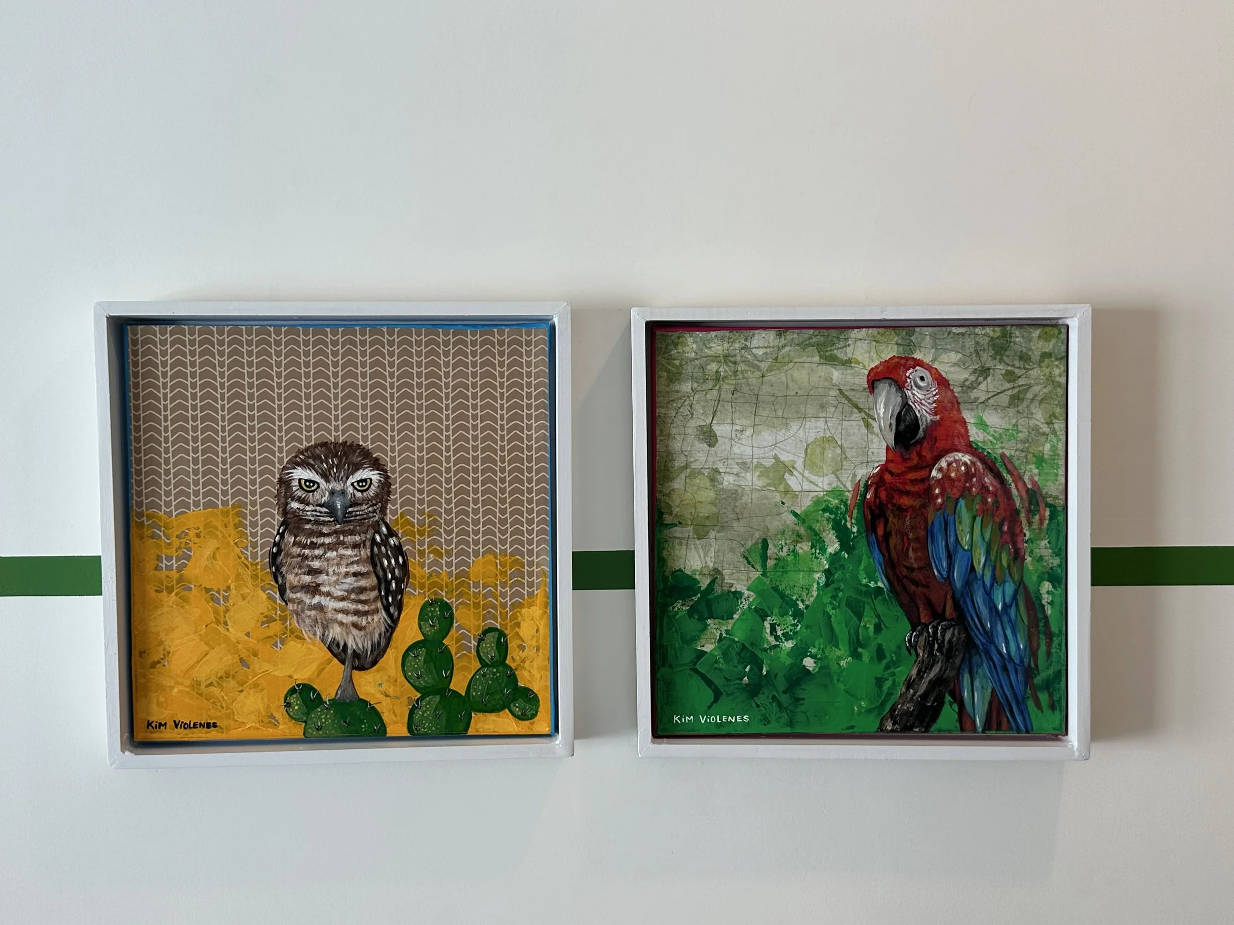 Two framed bird artwork illustrations on a white wall; the left depicts a small owl with brown and white feathers perched on green cacti, and the right shows a red and blue parrot with a green leafy background.