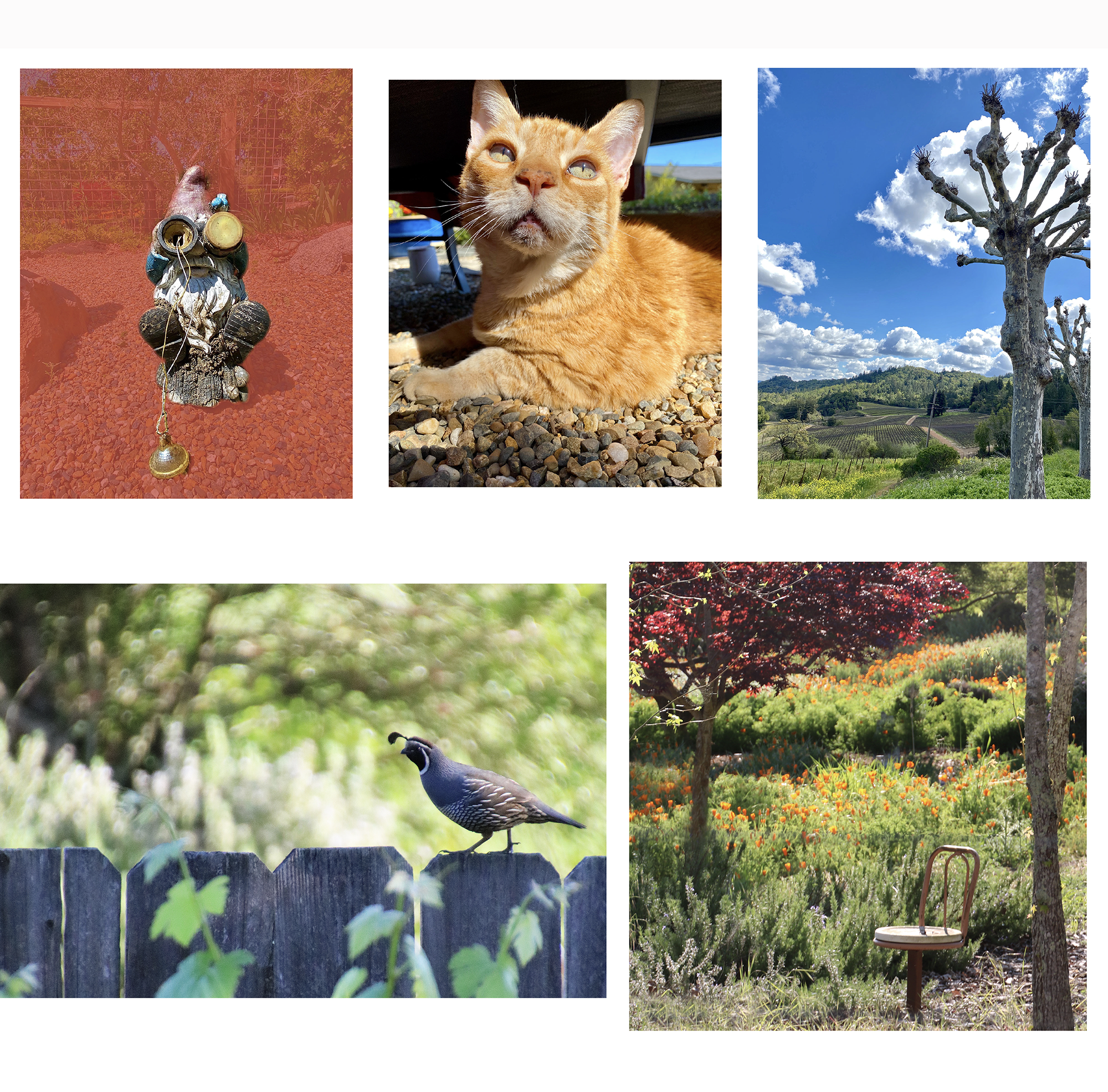 Living and Photographing in the Time of Covid-19