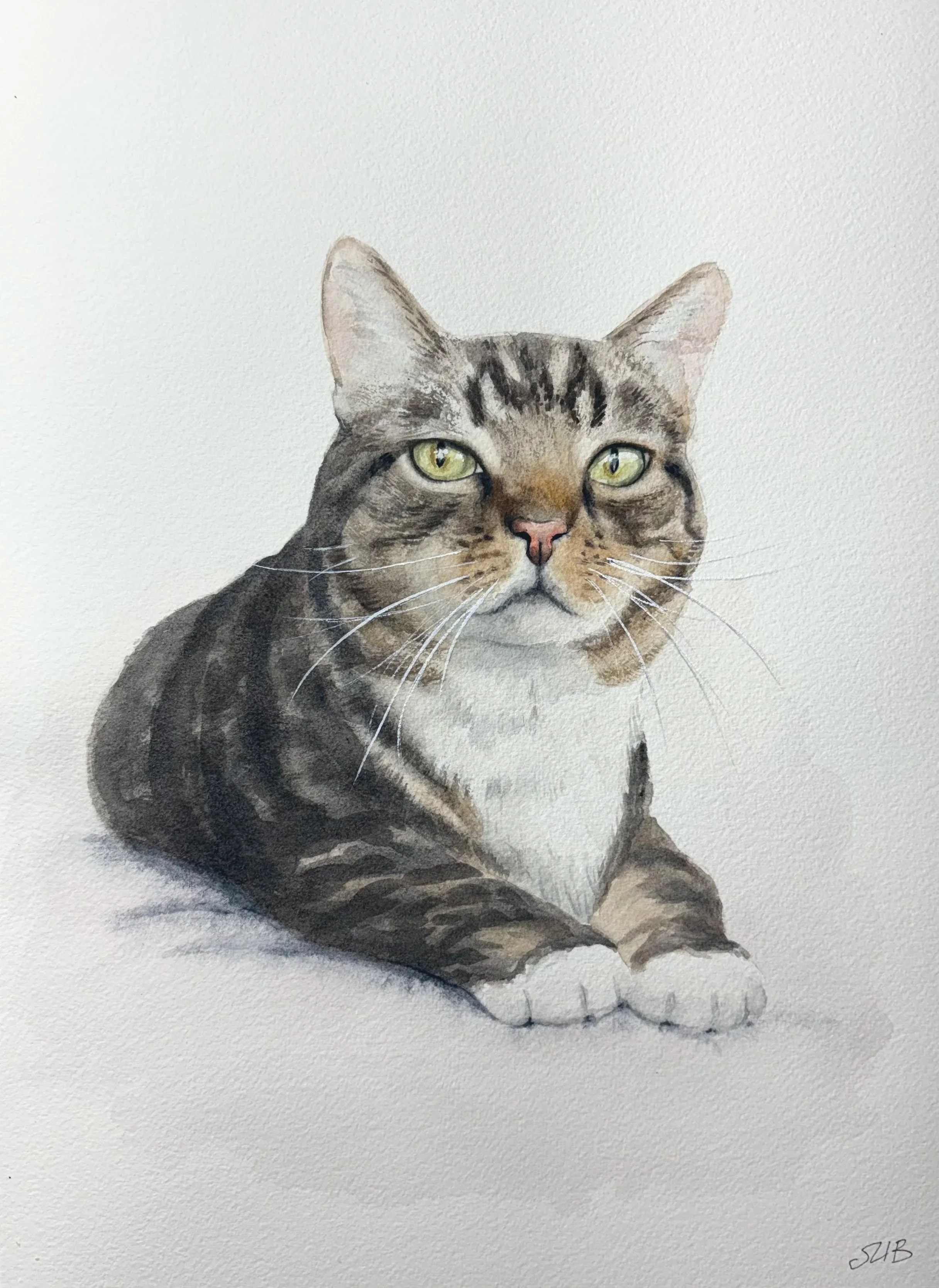 cat, watercolor