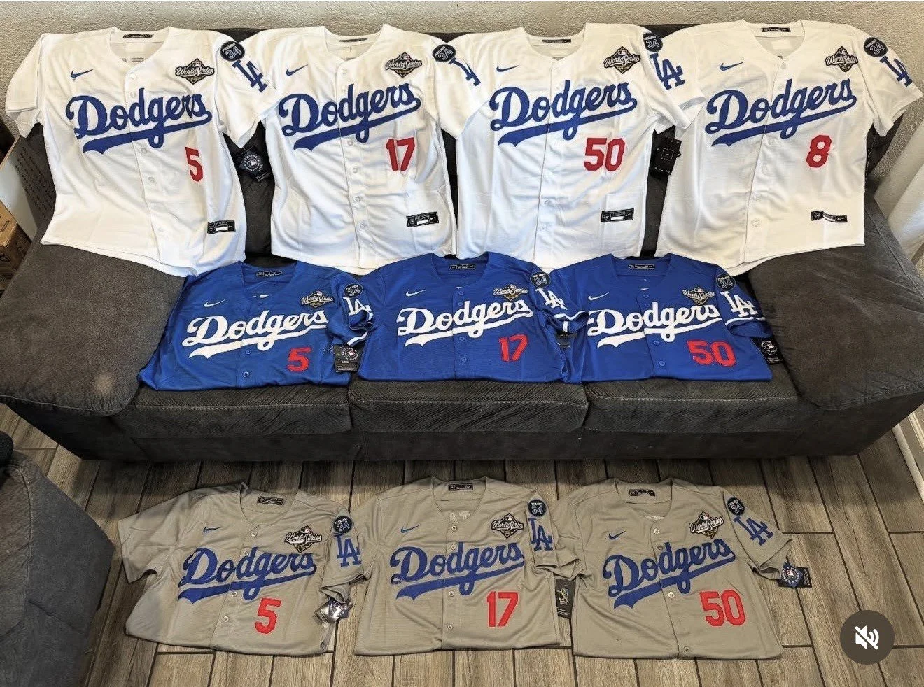 Dodgers 2025 WS 2.jpeg