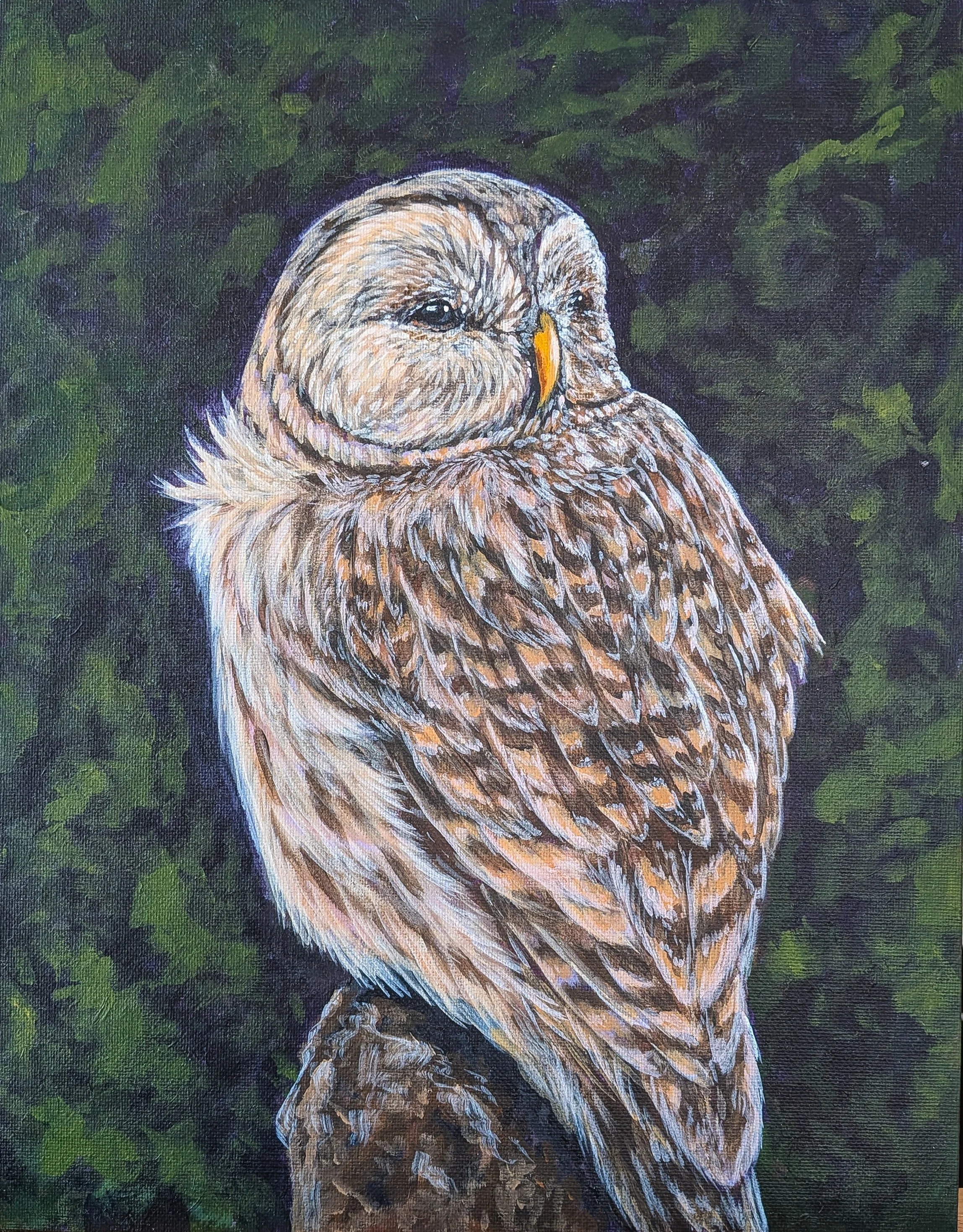 "One Who is Perched" Owl Painting