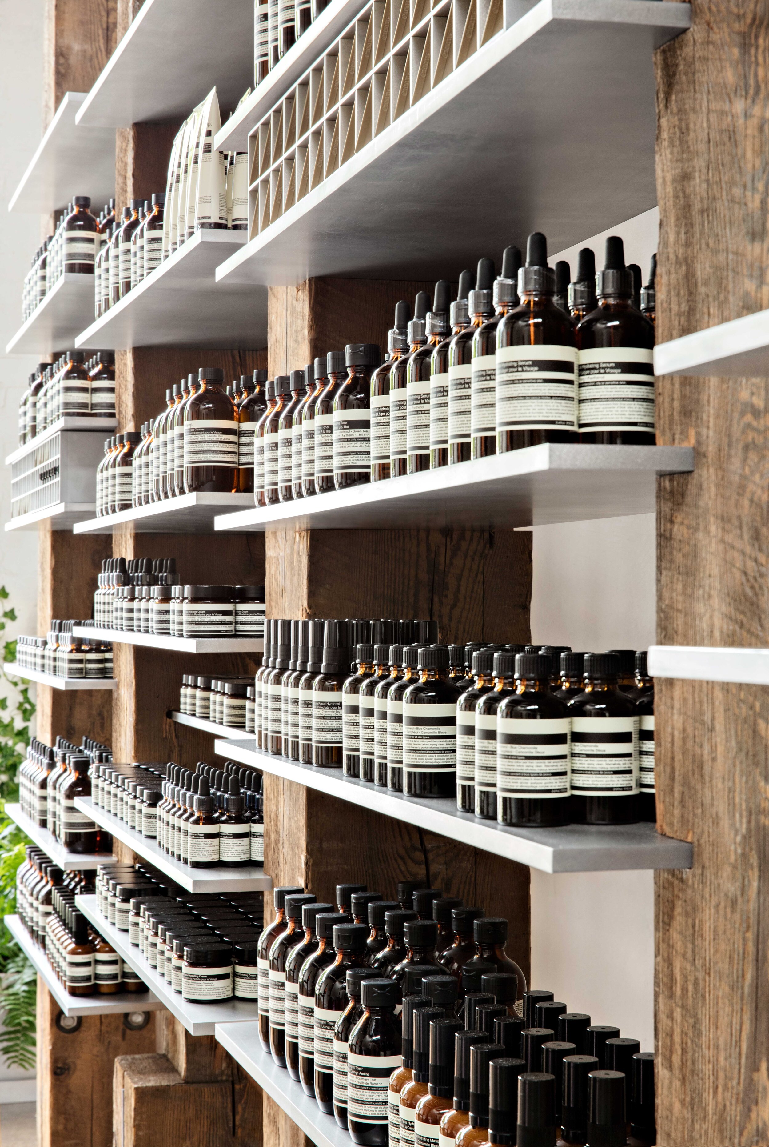 AESOP-US-STORE-EDGEHILL-10.jpg