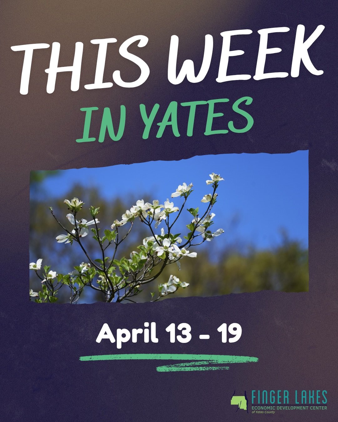 Get out this week in Yates!

If you&rsquo;d like to make a submission for next week&rsquo;s &ldquo;This Week In Yates&rdquo;, be sure to DM us any events, wholesome, &amp;/or success stories, news, etc.

#thisweekinyates #yatescounty #fingerlakes #fi