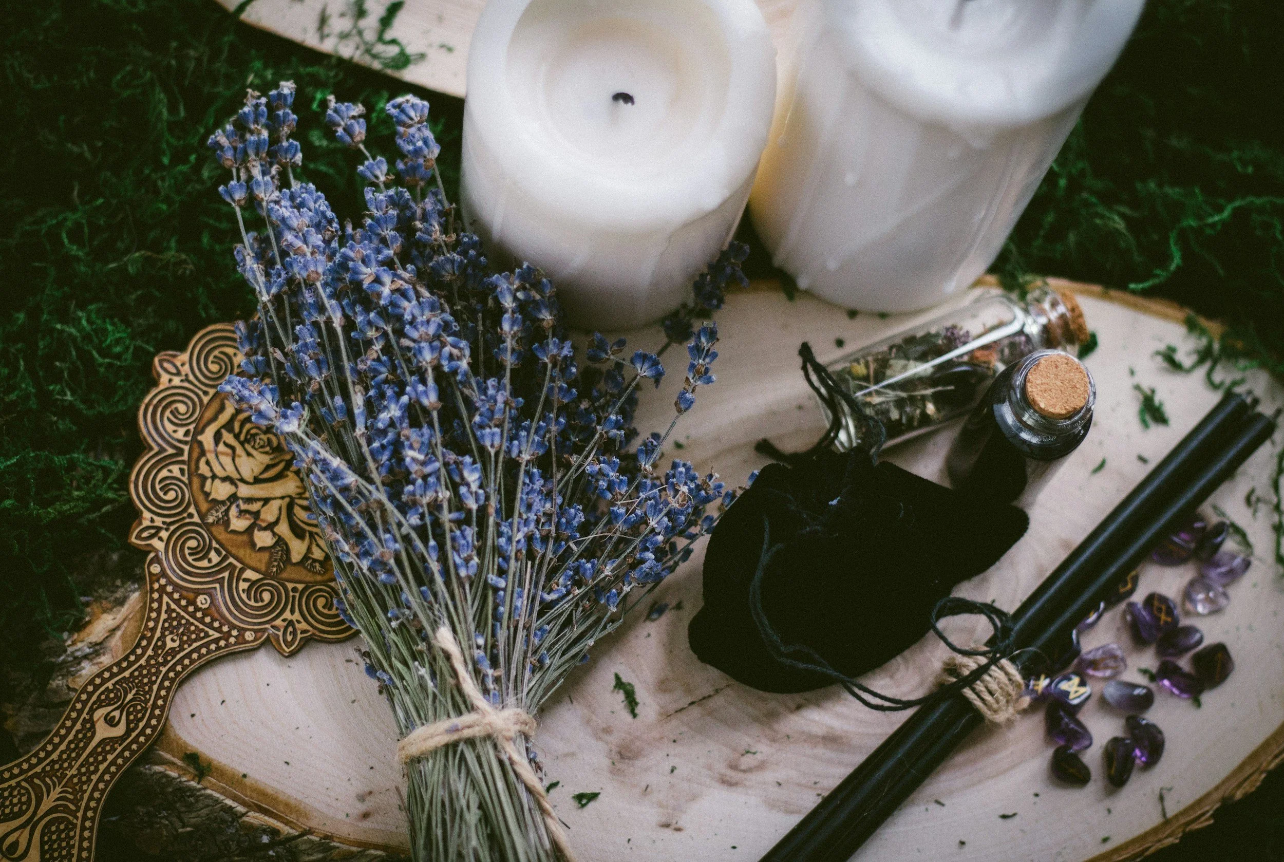 Deepening the Roots of Your Magic &amp; Strengthening the Foundations of Your Craft | This Month’s Lunar Story | July 14th - August 11th, 2026