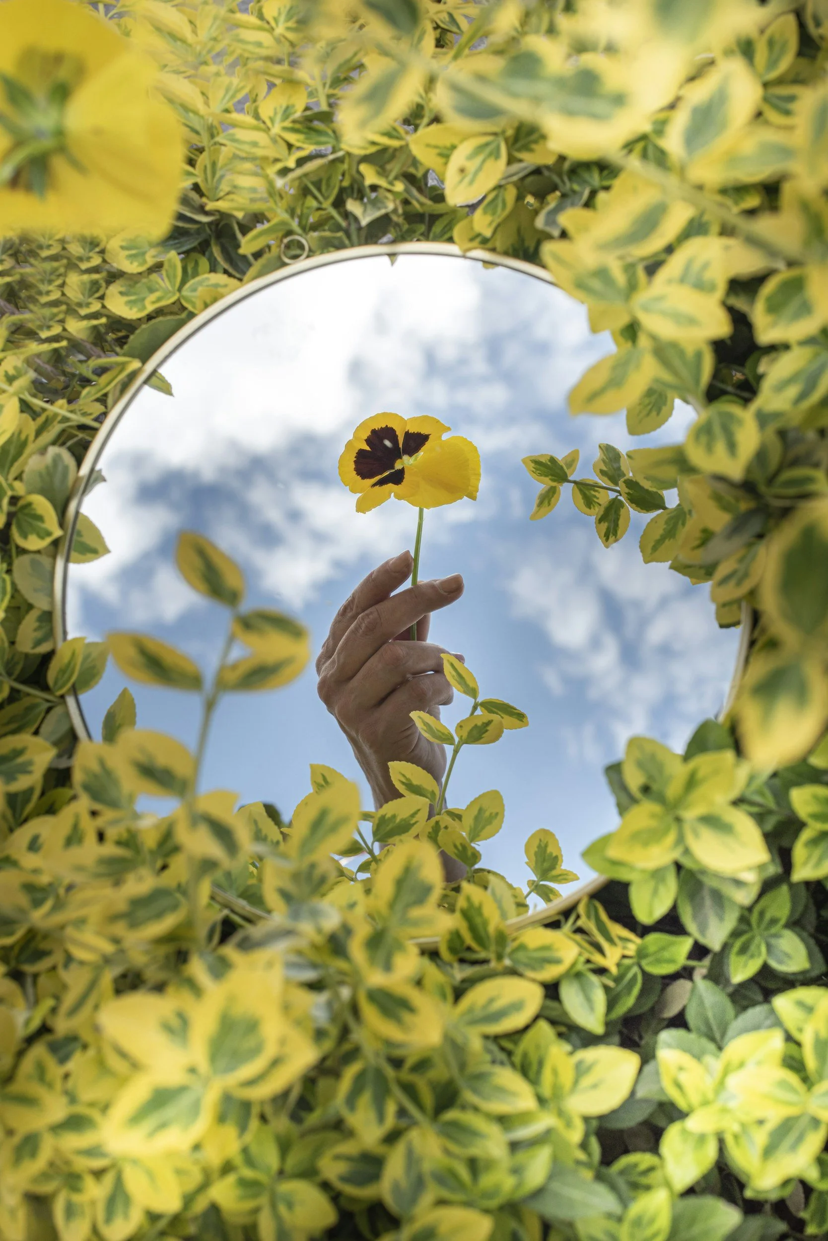 Sat August 1, 2026 — D4 : When Dreams, Desires, &amp; Discernment Become Directions | ♀️ Venus 🤝 conjunct ⚸ Lilith | 🌖 Waning Gibbous Pisces ♓