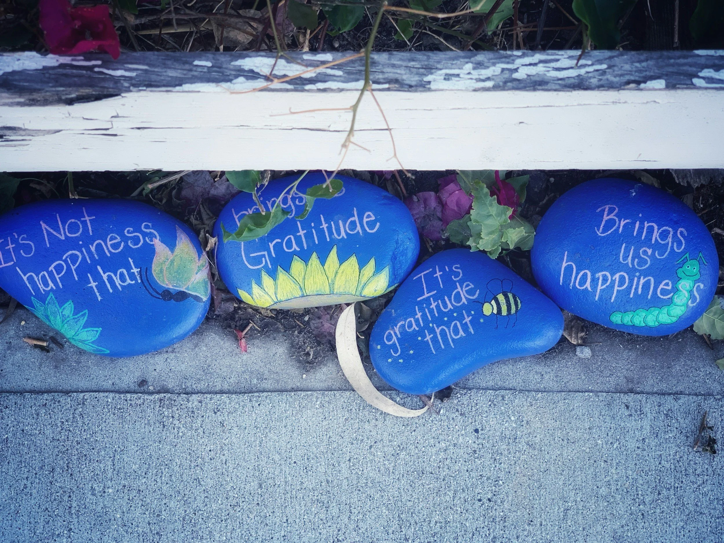 July 23rd ✨ Weekly Gratitude Spell | Giving Thanks for Growing Wisdom