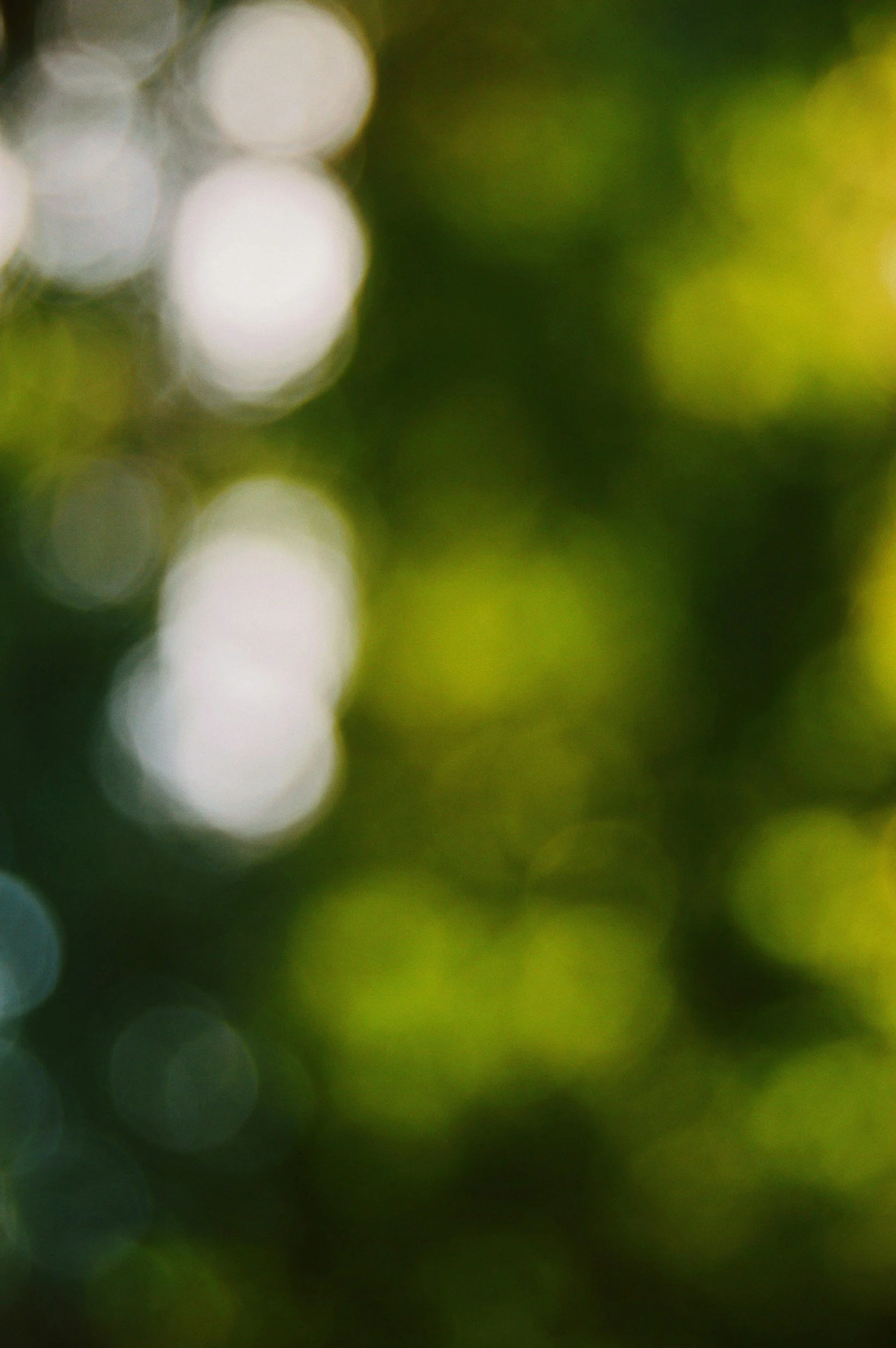 July 22nd - Weekly Clairs Development Activity | Crossing the Veil