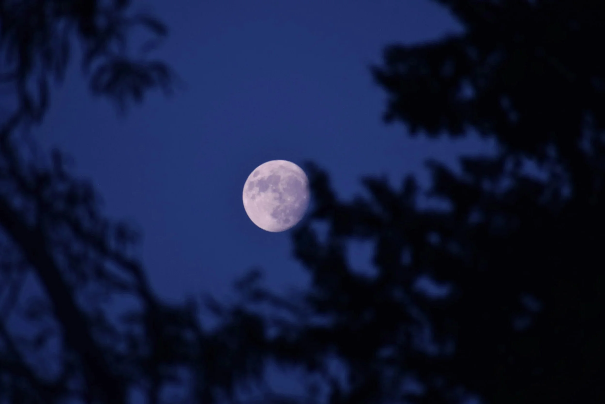 Waning Gibbous