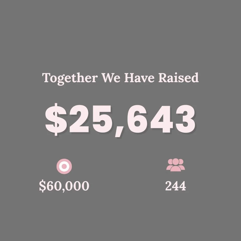 Summary of money raised and number of people involved, with a target goal and icons representing a target and a group of people, on a gray background.