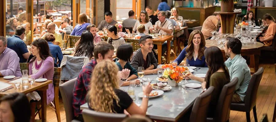 Marketing & Customer Acquisition