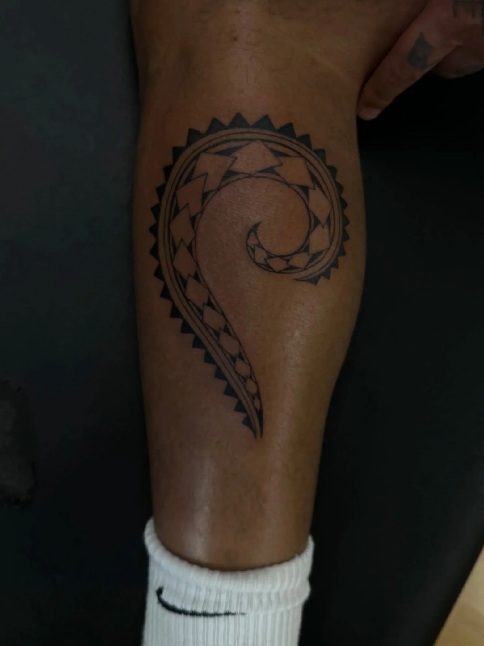 Poly tribal fern