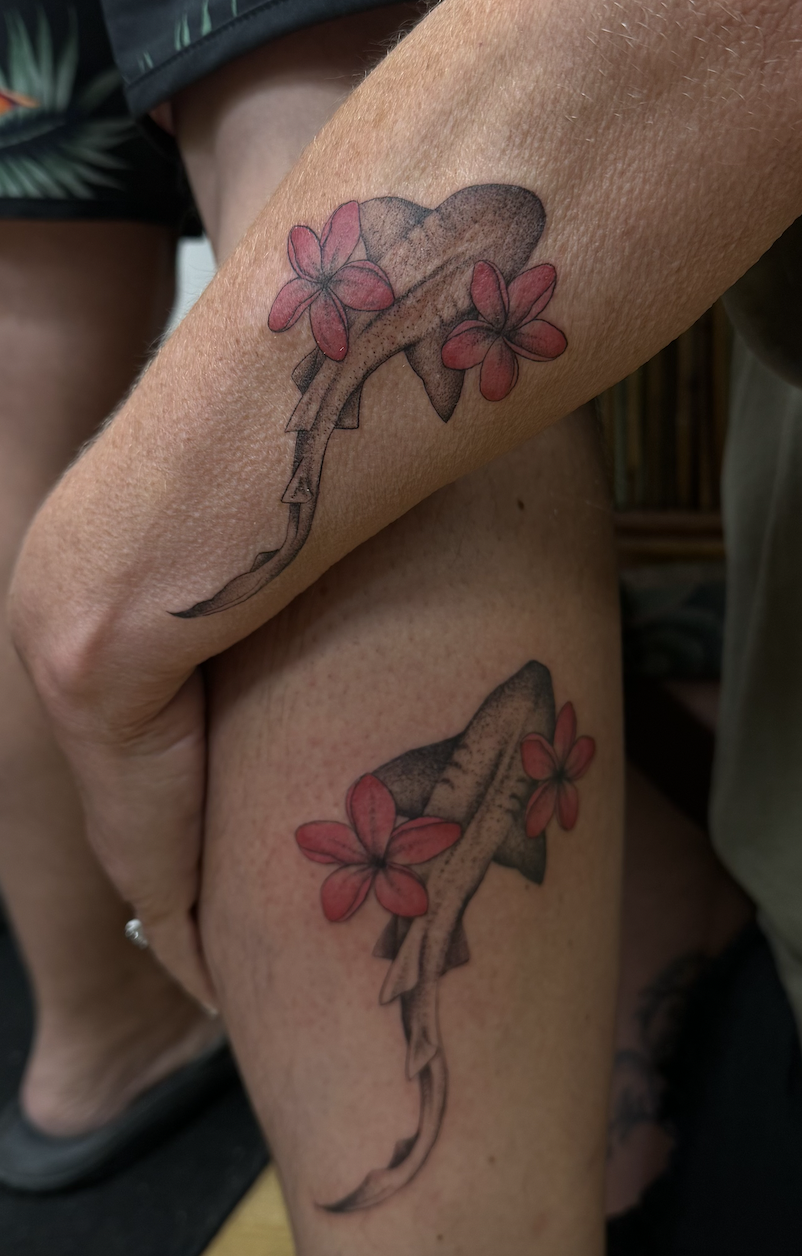 Fineline stippled sharks with plumeria flowers