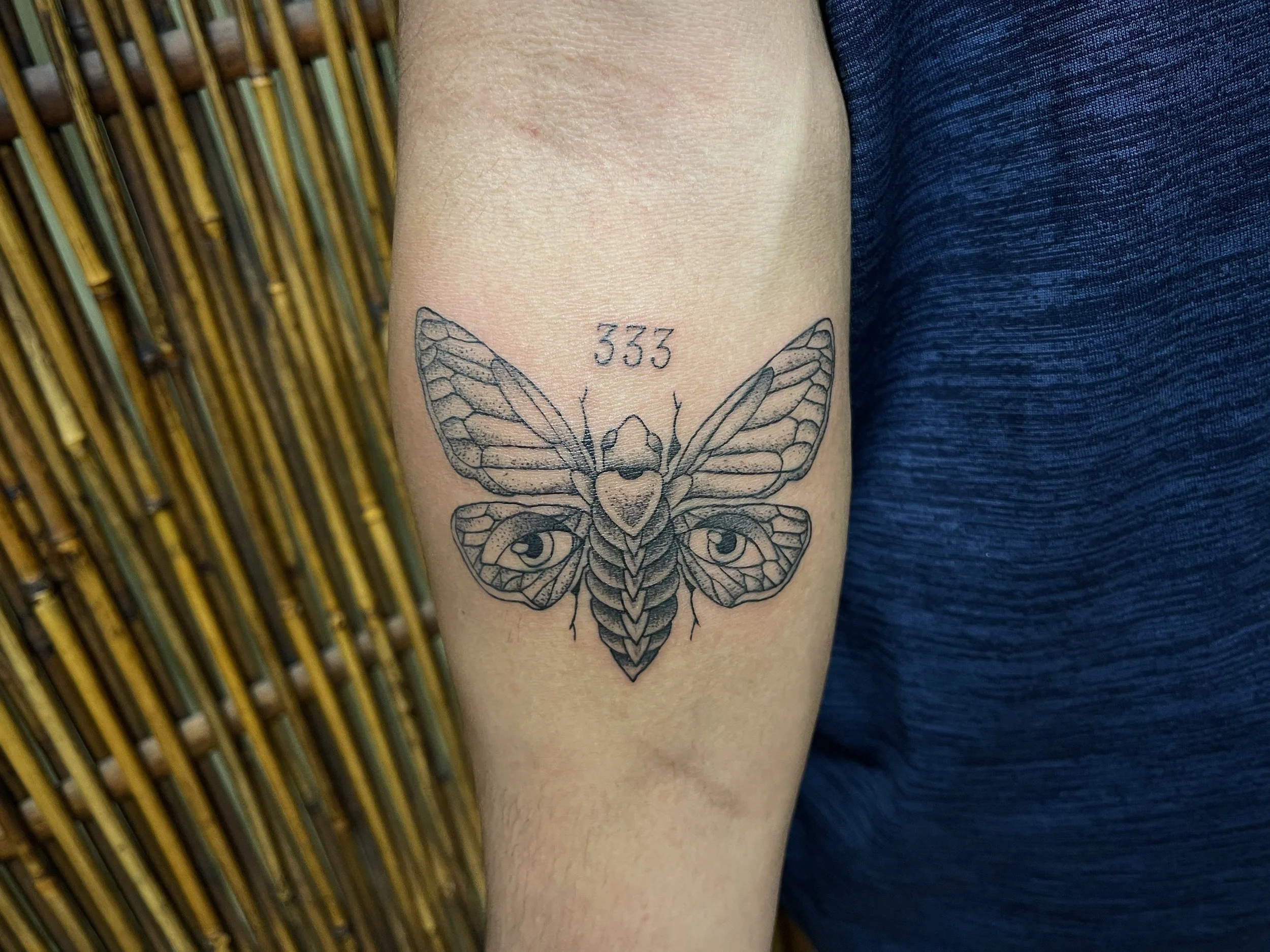 Fineline stippled moth