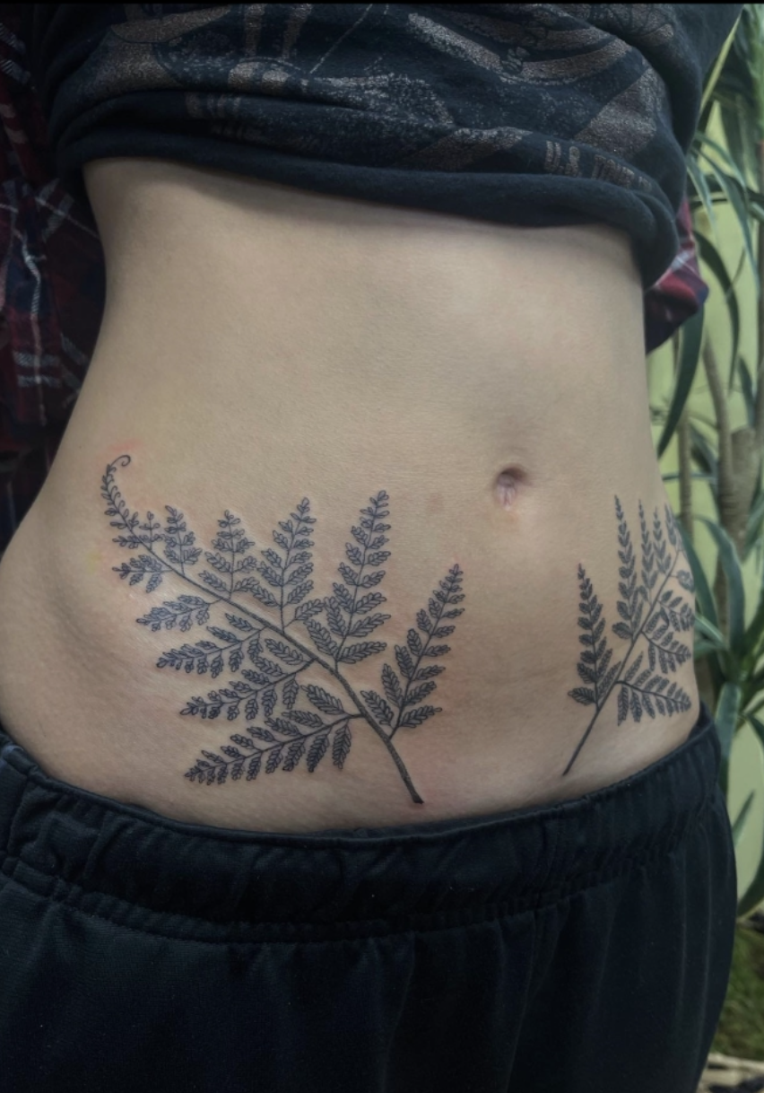 Fineline symmetrical ferns