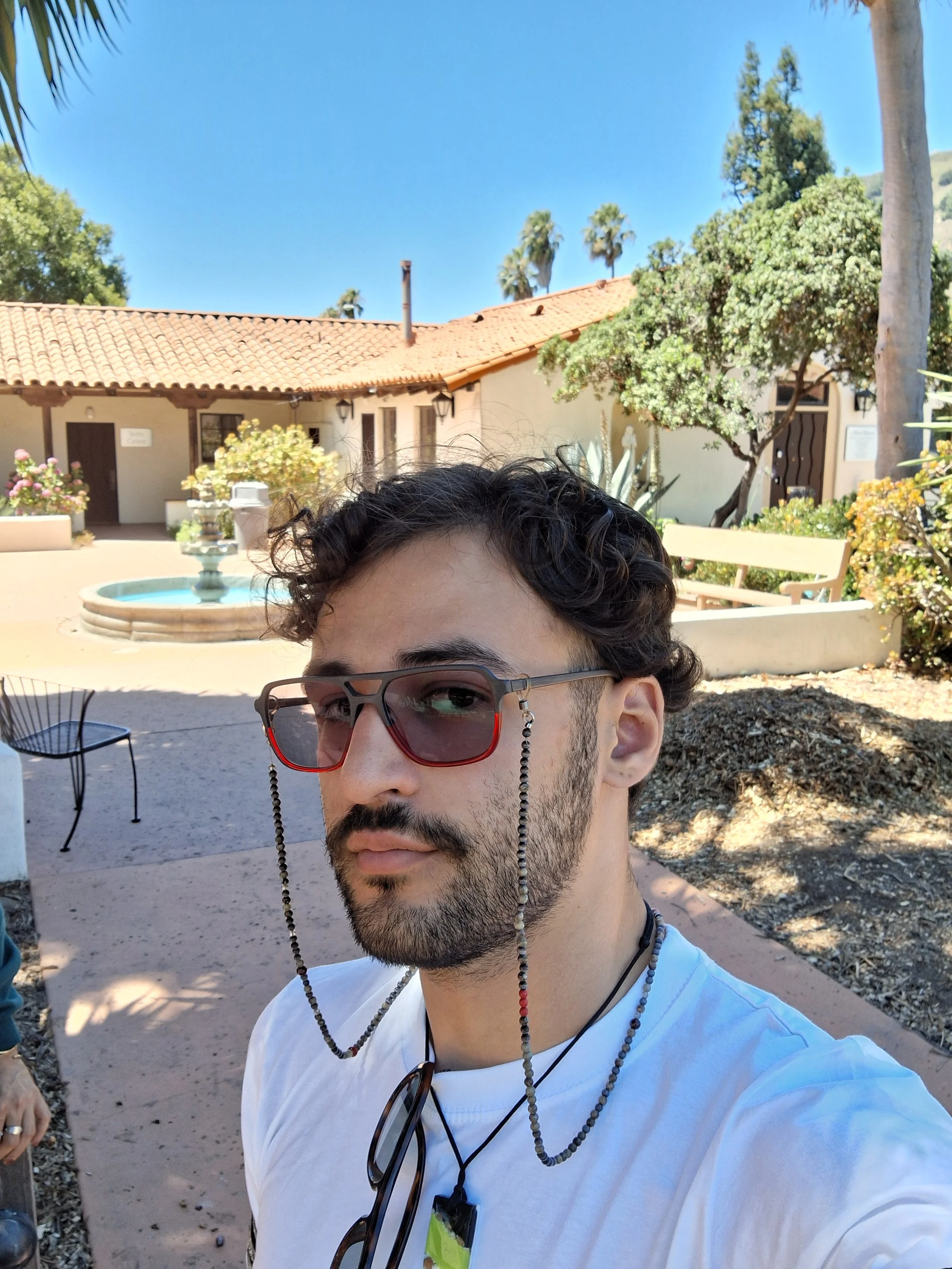 This is a photo of Lazar Tripinović in California