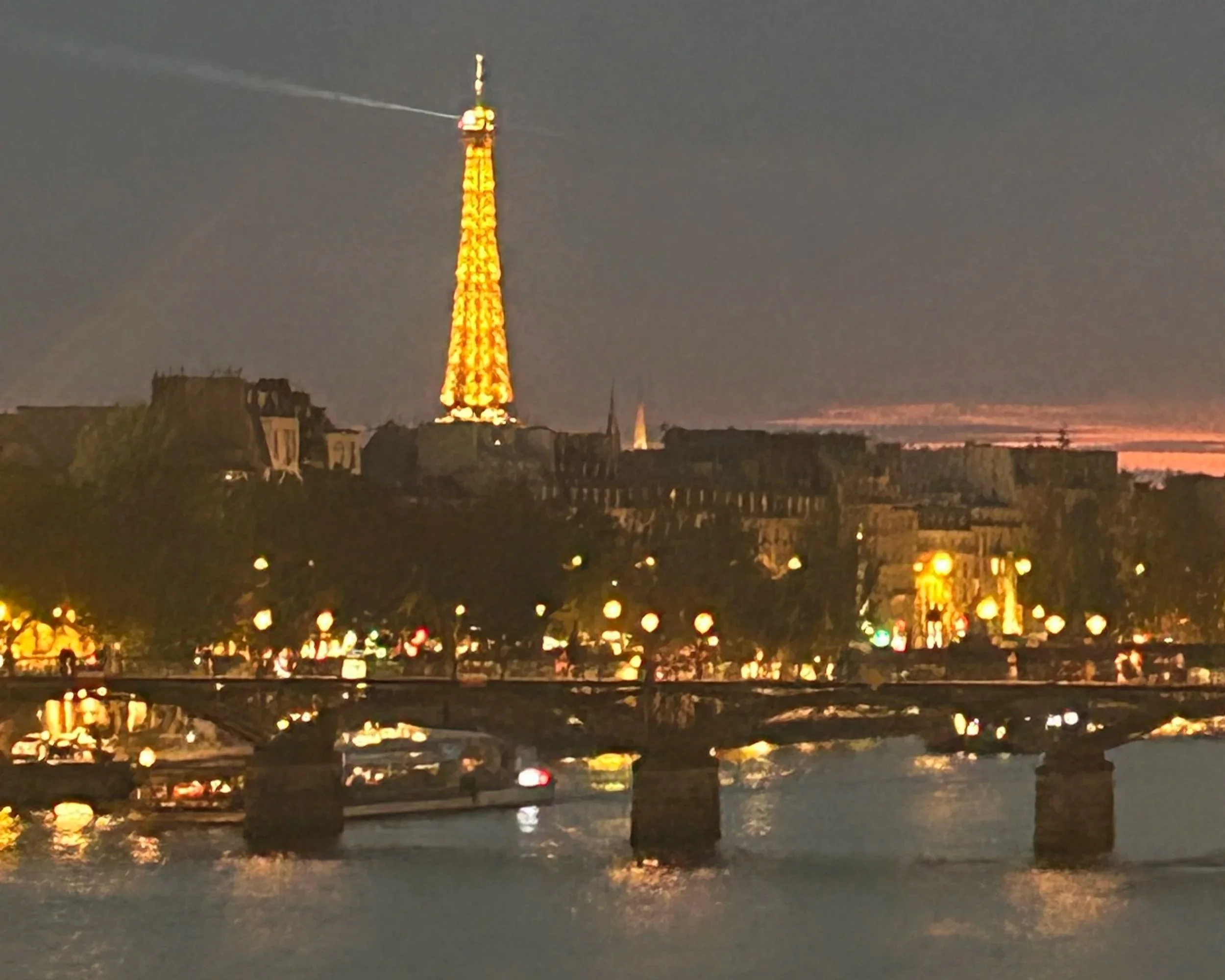 December Flowers in Paris
