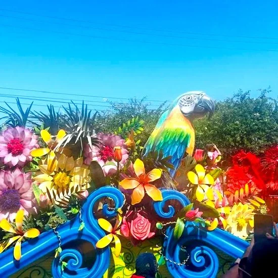 Mardi Gras in Bold  Barranquilla