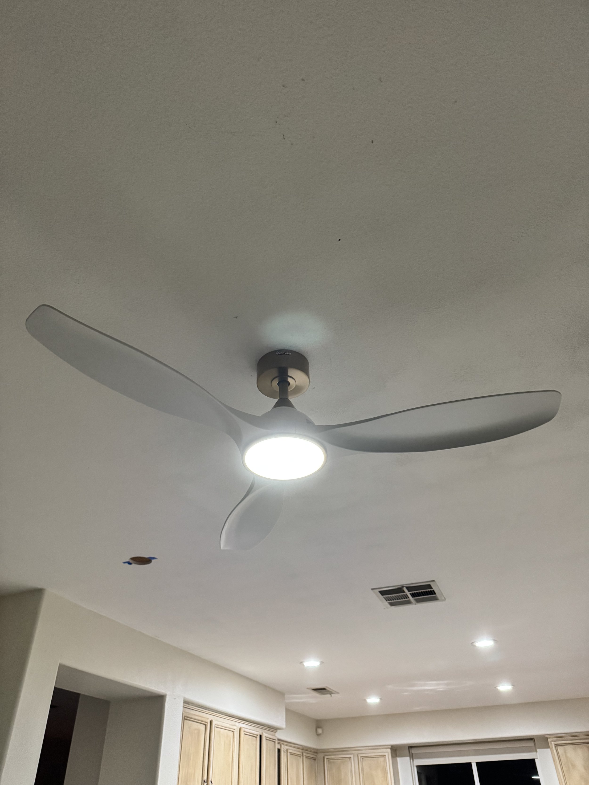 IMG_1017.jpeg