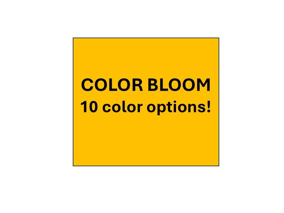 color.jpg