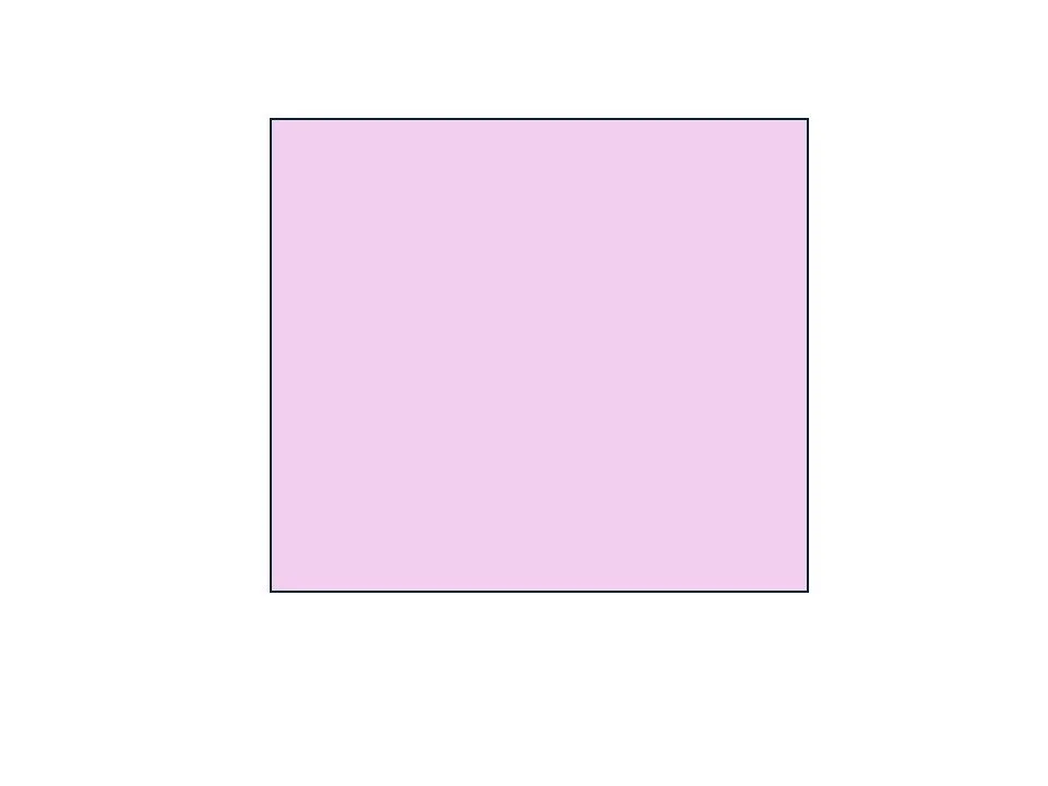 lavendar.jpg