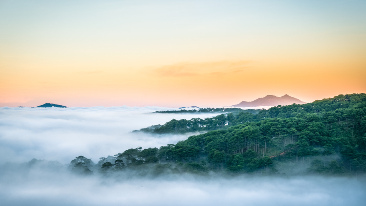 Depression and Suicide in Gay Men