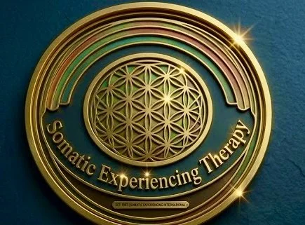 Somatic Therapy at District Counseling and Psychotherapy