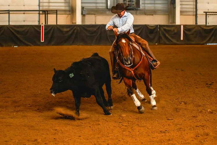 Cown Mid Riders Colorado, Wyoming, and Nebraska Stock Horse Association | Join the ...