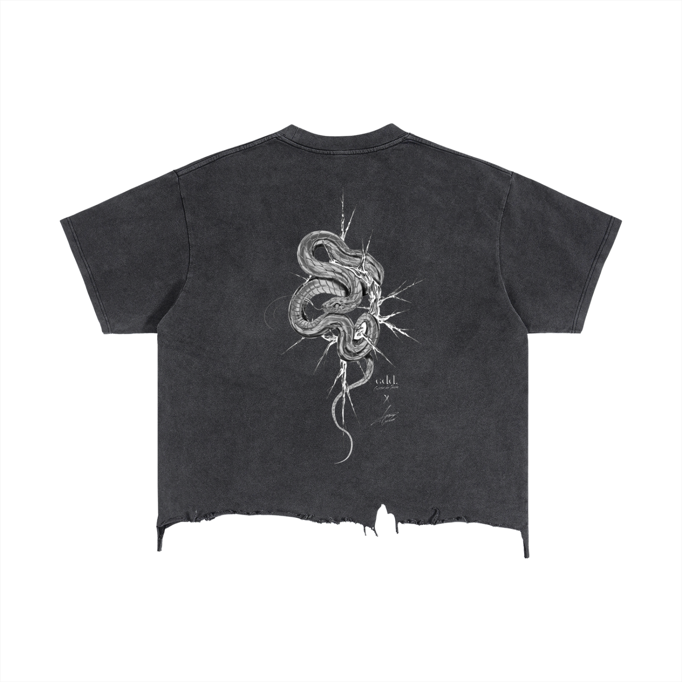 CDD - Vintage Wash Boxy Distressed Snake x Thorn T-Shirt
