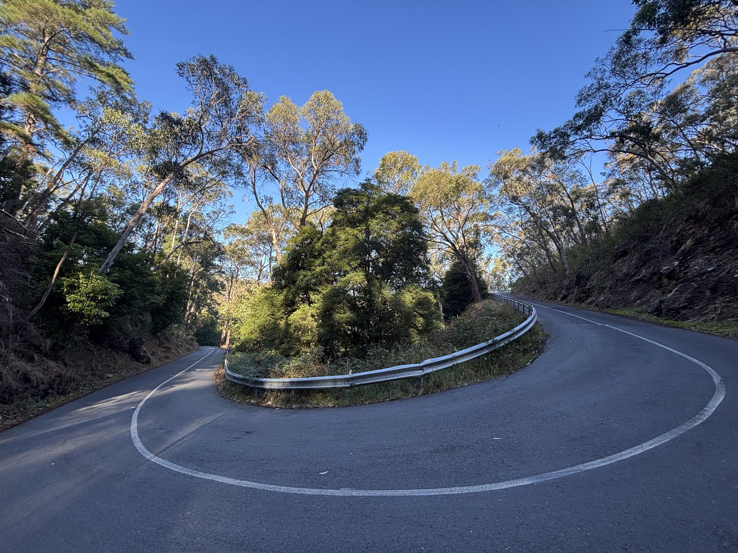 A winding mountain road with a metal guardrail, surrounded by tall trees under a clear blue sky.