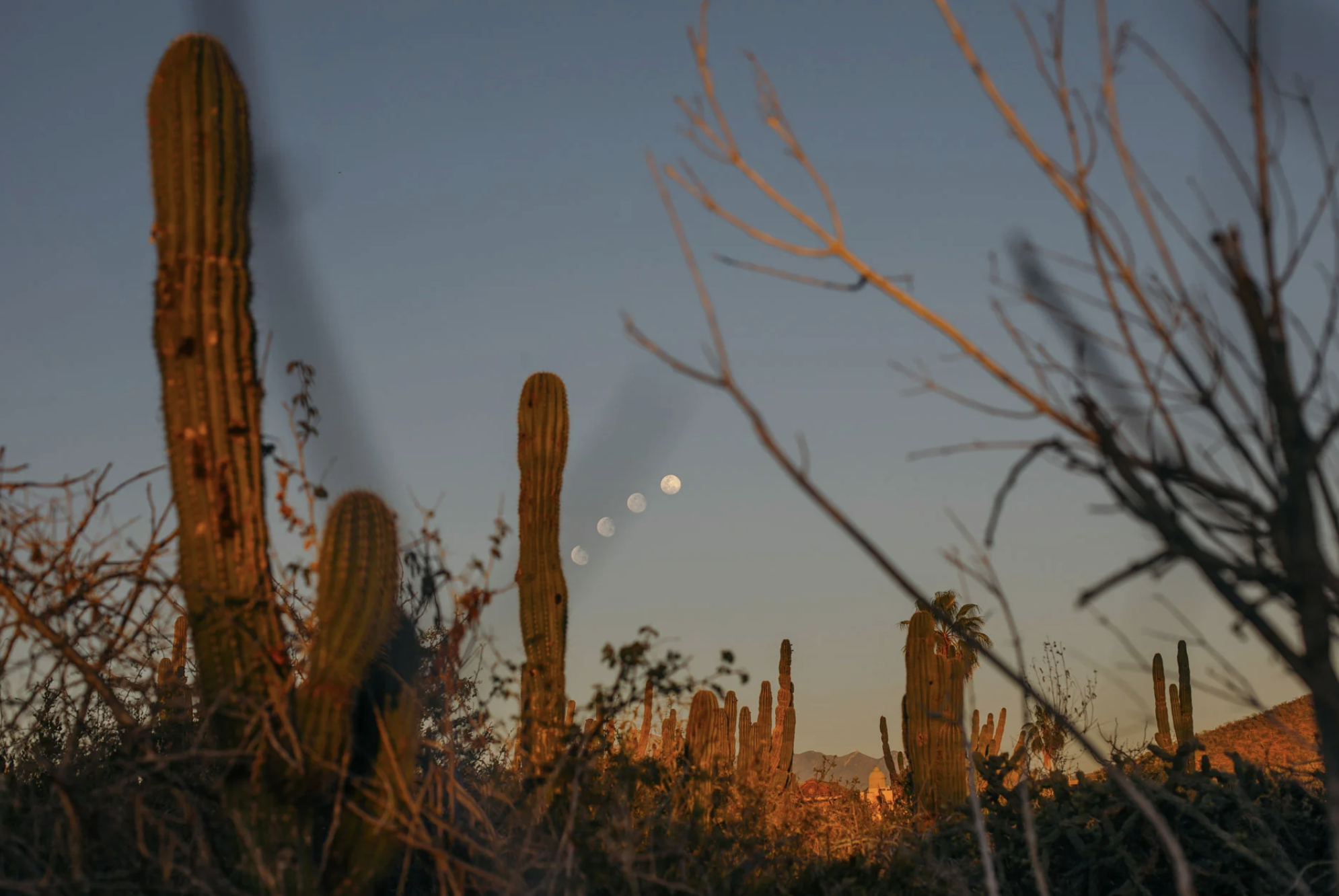 Screenshot 2025-11-10 at 1.35.15 PM.png