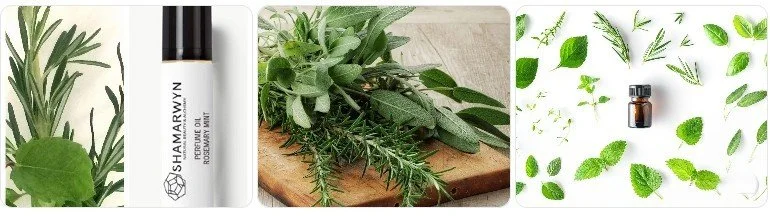 Array of herbs, essential oil bottle, and a bottle of herbal oil.