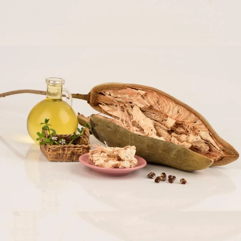 A large, half-cut greenish-brown cacao pod, a pink plate with cacao pieces, a small jar of yellow oil, some black peppercorns, and a small plant with green leaves and purple flowers.