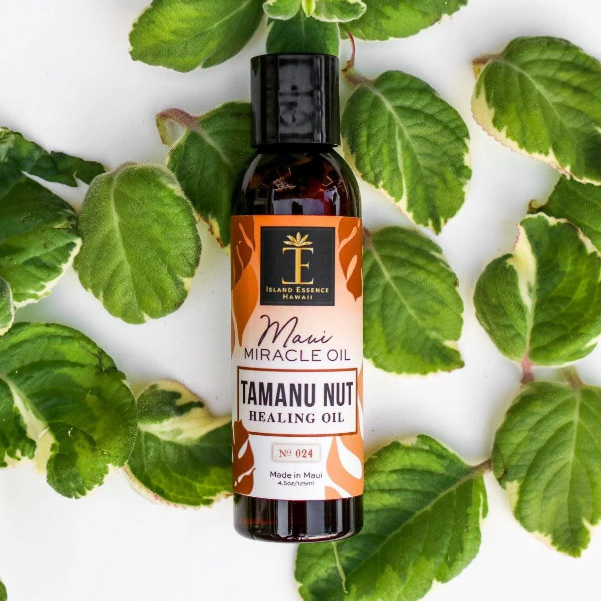 A bottle of Island Essence Hawaii Maui Miracle Oil Tamanu Nut Healing Oil resting on green variegated leaves.