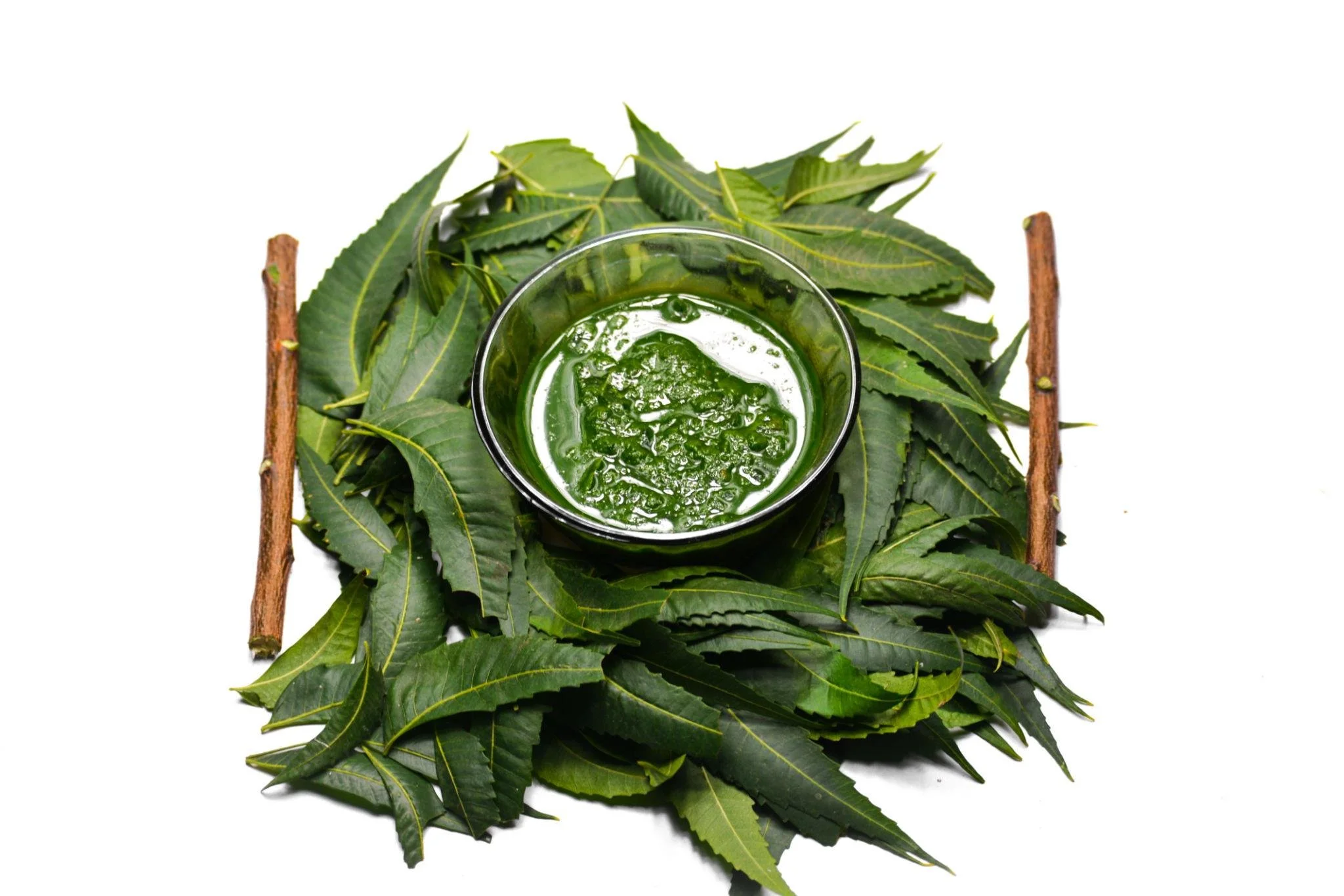 A glass of green herbal liquid placed on a white surface, surrounded by fresh green leaves and two sticks of cinnamon.