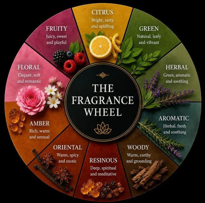 A circular diagram titled 'The Fragrance Wheel' divided into segments, each representing a different fragrance category with associated descriptive words and visuals of relevant plants or ingredients.