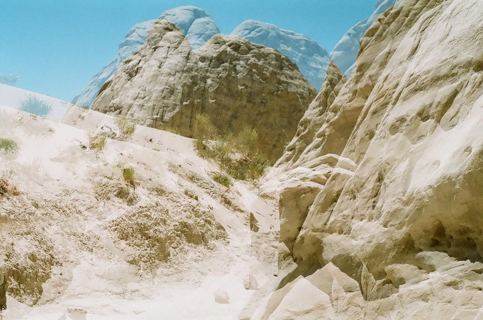 Charlotte Roehm photography & art direction