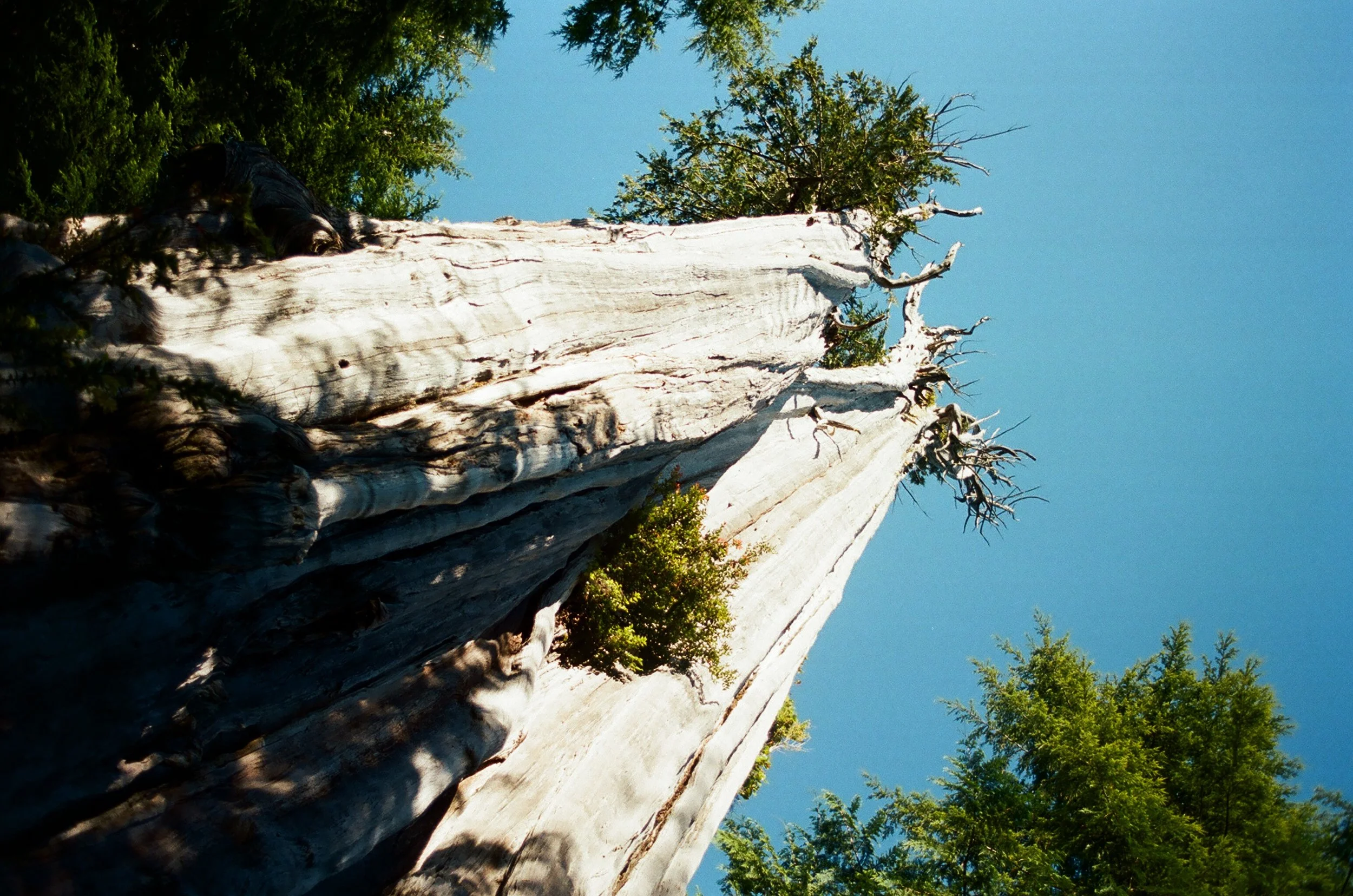 70830022.JPG
