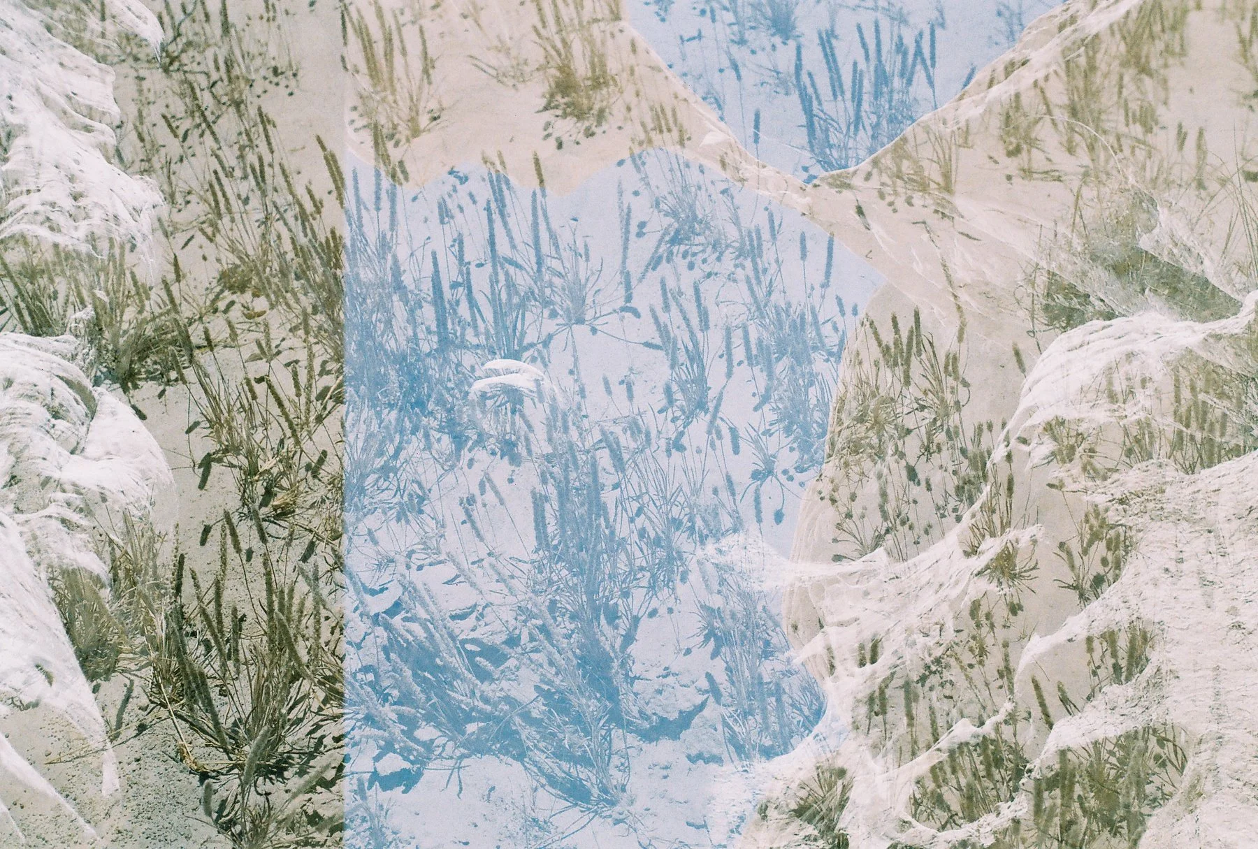 charlotte roehm photography art direction brand design