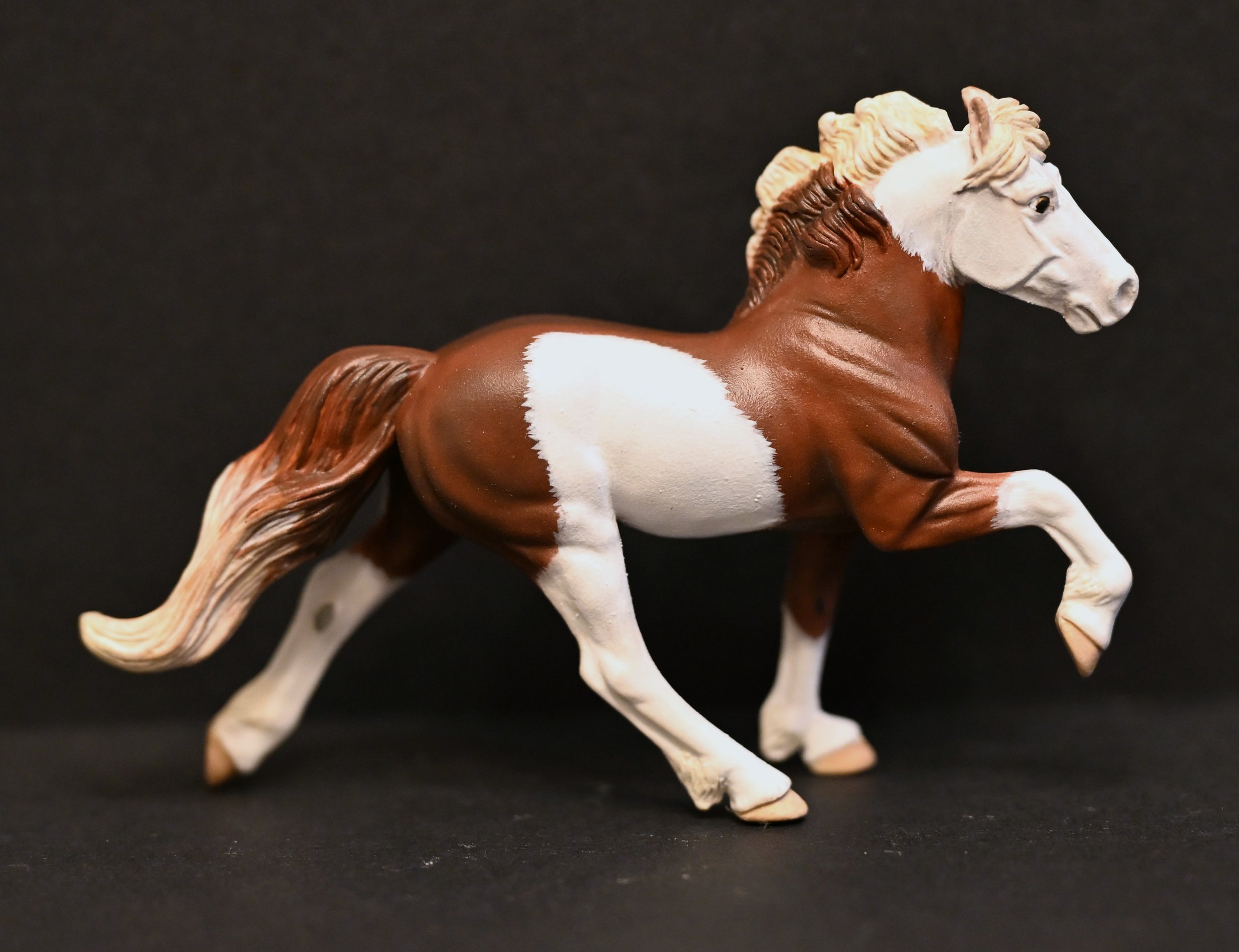 Icelandic Horse Main.JPG