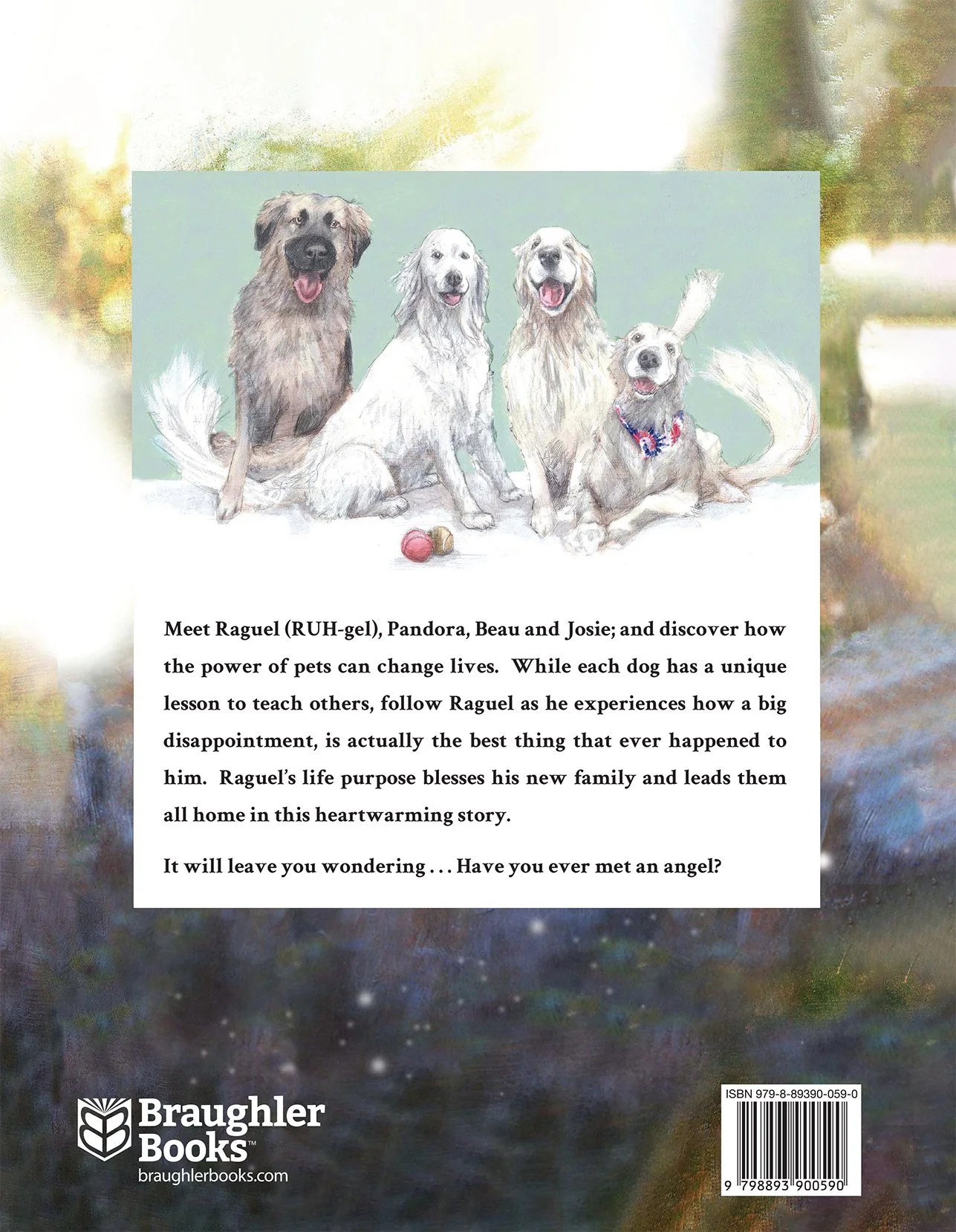 Price_The Day We Met an Angel Back Cover Image.jpeg