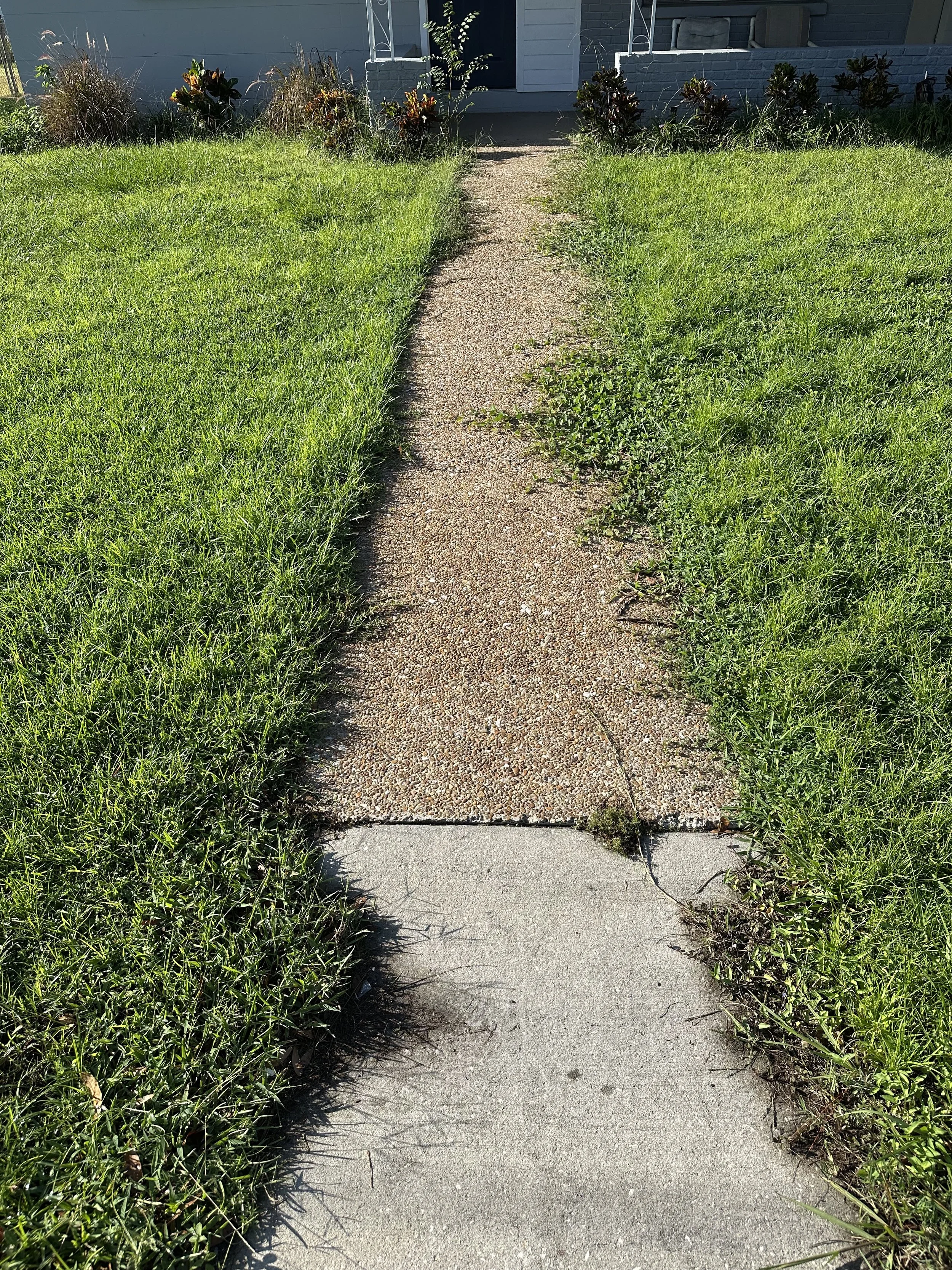 A concrete sidewalk transitioning into a textured concrete pathway leading to the porch of a house, with grass and plants on either side of the path.