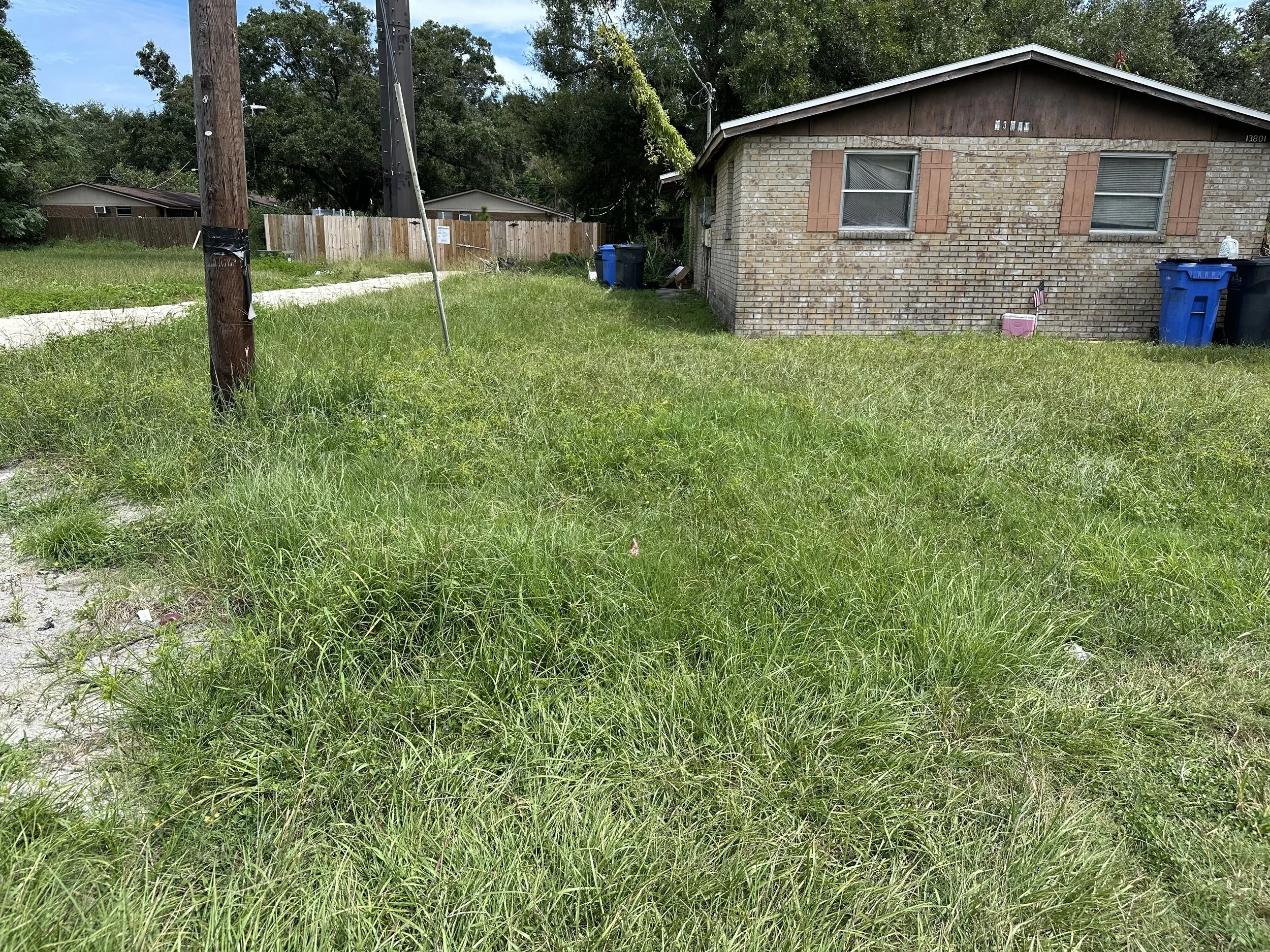 Overgrown grass backyard with a brick house and utility poles