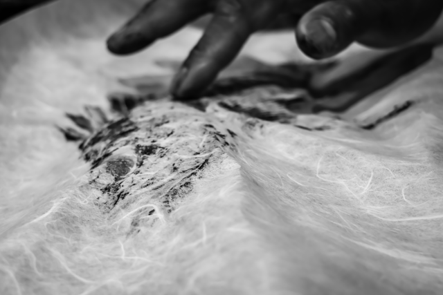 Close-up of a person's hand touching a fish print in a black-and-white photo.