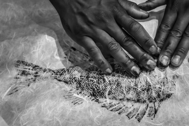 Hands pressing on a fish print design on paper.