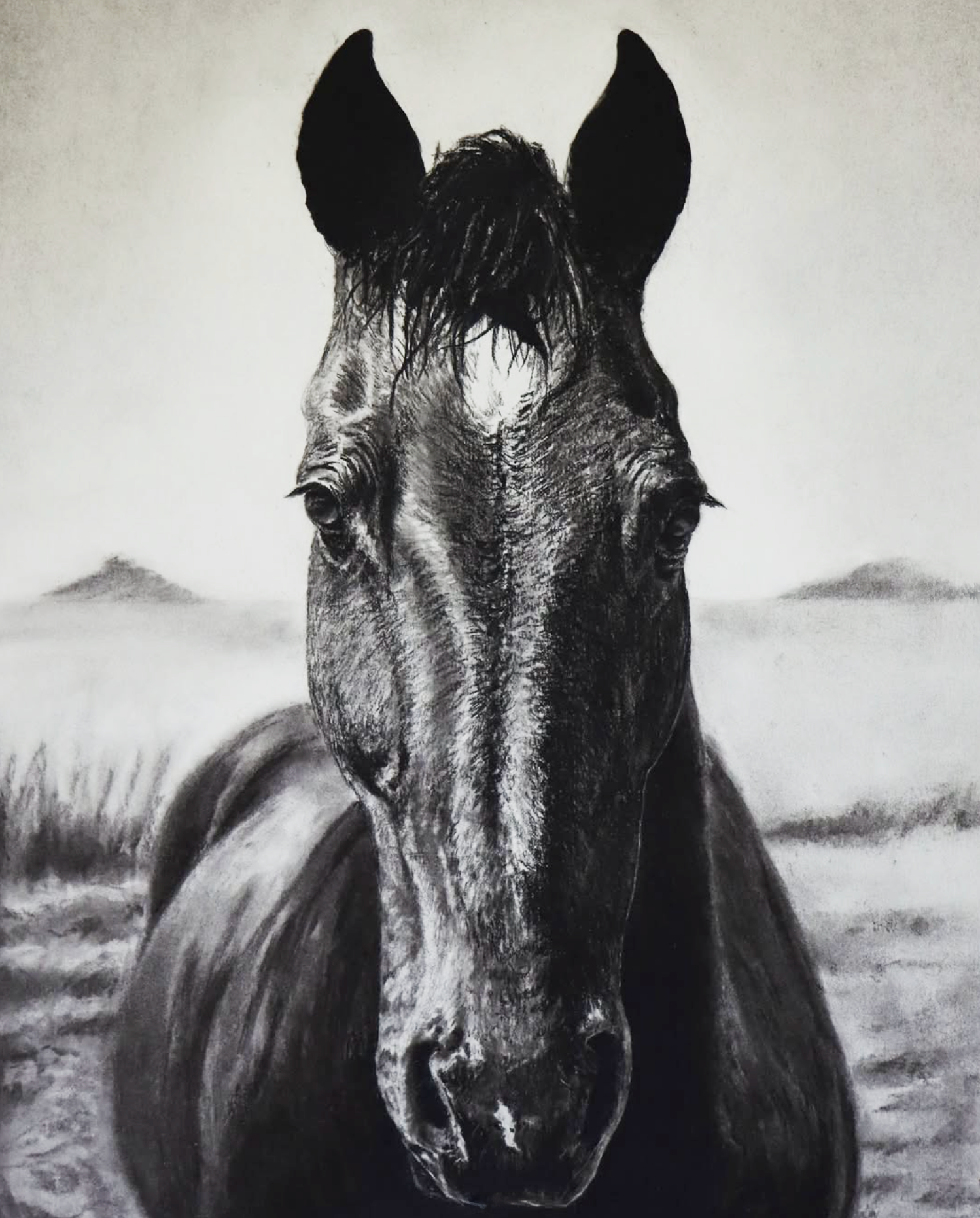 Black and white drawing of a horse's face with a landscape background by Jason Bero.