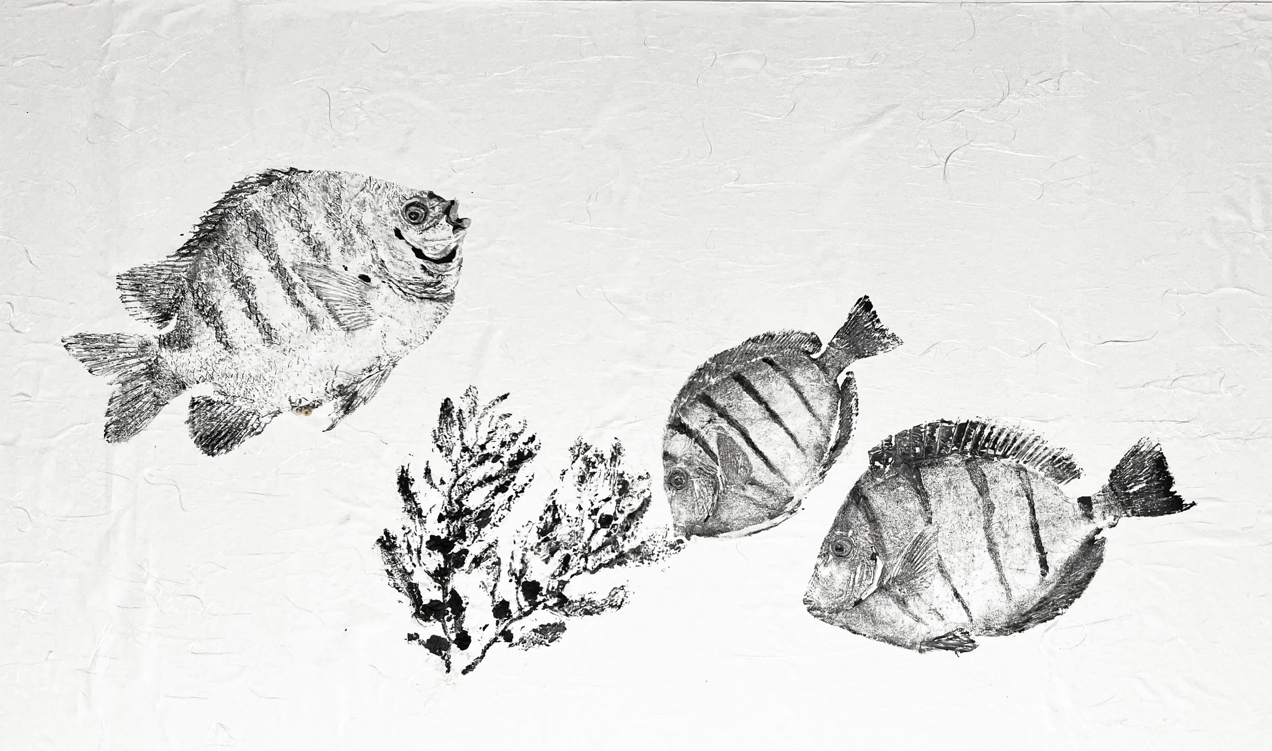 Black and white illustration of fish and seaweed, including one smiling fish on the left and two larger fish on the right