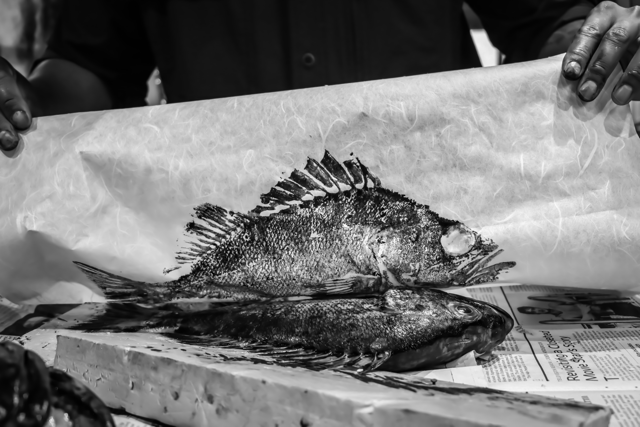 A fish transferring ink to paper with a person holding a paper displaying another fish.
