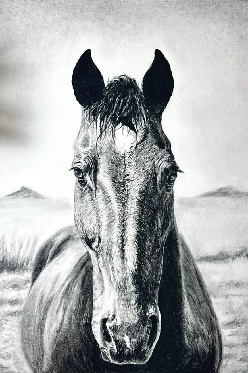 Horse Drawing by Jason Bero