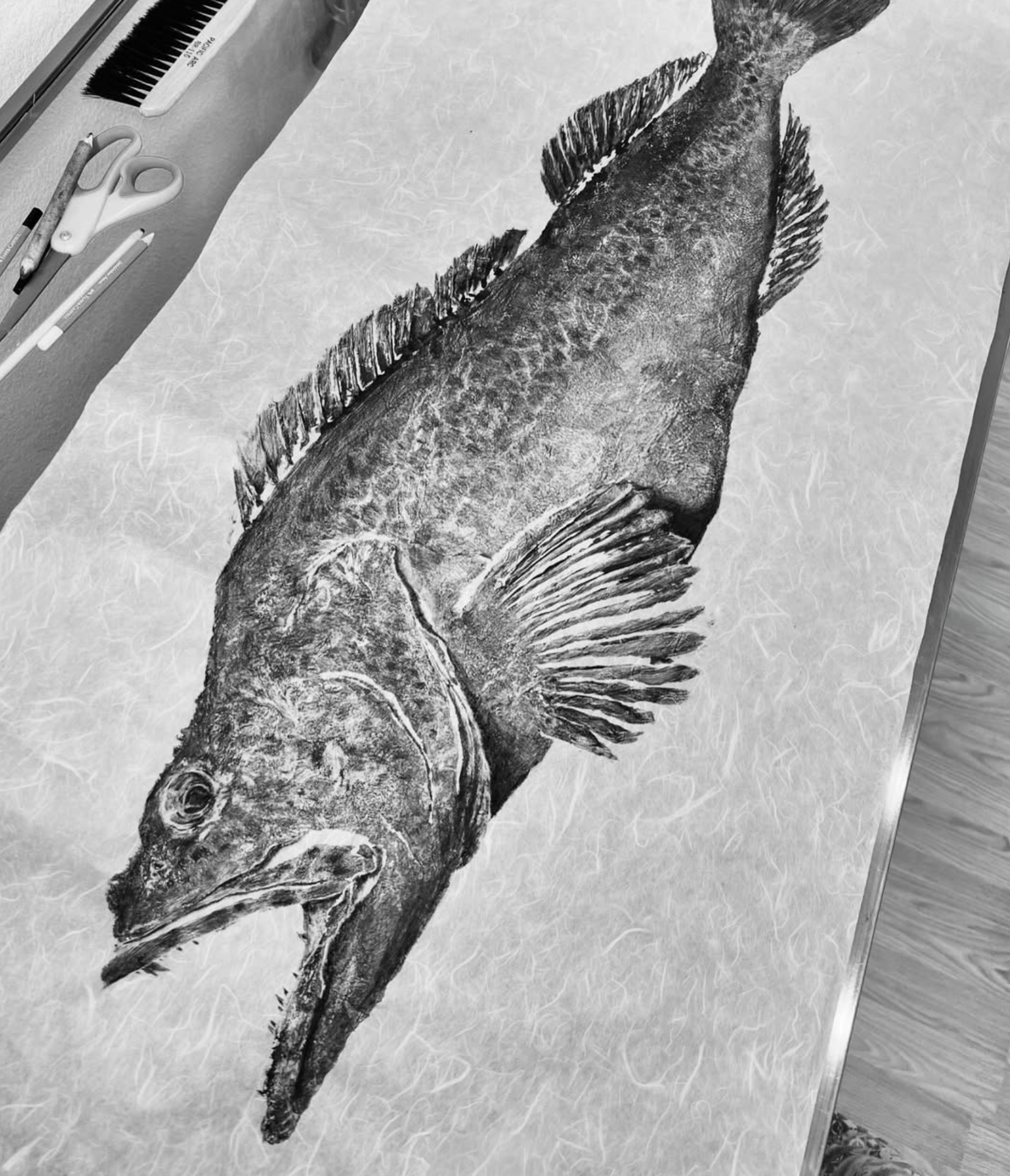 A detailed, realistic black and white sketch of a fish, likely a barracuda, on a large piece of paper on a table, with art supplies like scissors, pens, and pencils nearby.